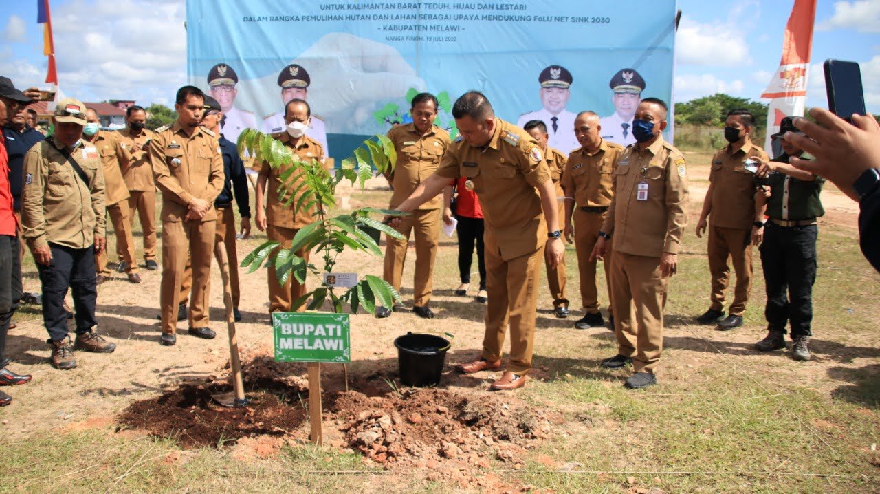 Dukung Folu Net Sink 2030, Bupati Melawi Laksanakan Penanaman Pohon Serentak