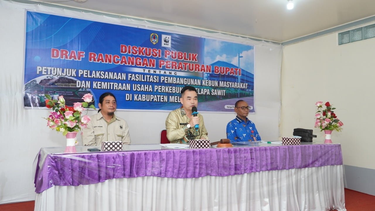 Pemkab Melawi Laksanakan Diskusi Publik Draft Perbup Melawi tentang Petunjuk Pelaksanaan Fasilirasi Pembangunan Kebun Masyarakat dan Kemitraan Usaha Perkebunan Kelapa Sawit